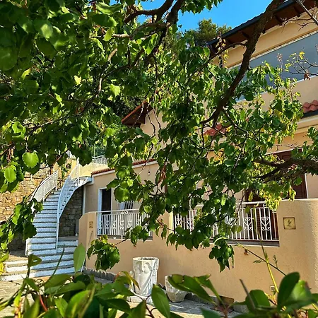 Lollo * Camporosso (Liguria)