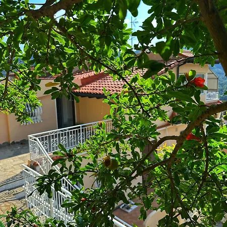 Hébergement de vacances Lollo *