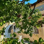 Lollo * Camporosso (Liguria)