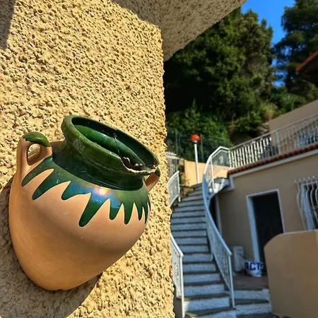 Lollo * Camporosso (Liguria)