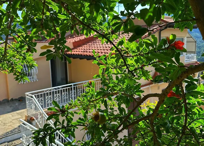 Casa de Férias Lollo *